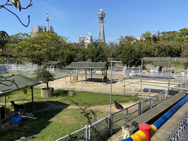 動物園に行ってきました！