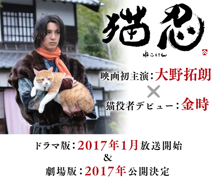 産学共同プロジェクトドラマ・映画「猫忍」（ねこにん）に数多くのAMG